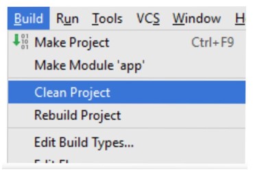 Clean the project