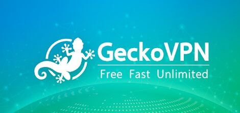 Gecko VPN for PC windows and mac